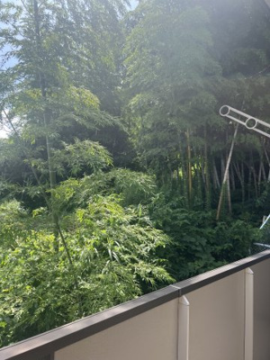 【展望】 | カサブランカ