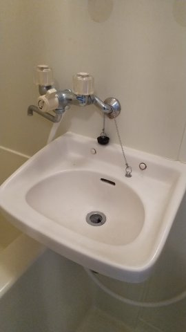 メゾン上津の洗面所