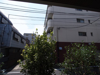 【展望】
