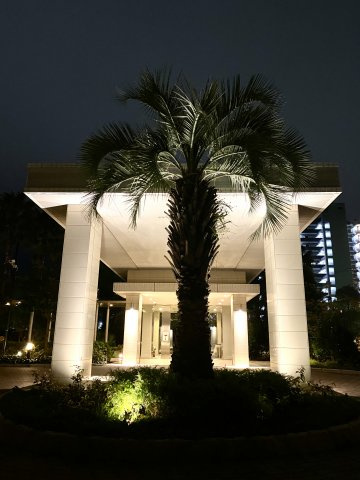ライオンズ茅ヶ崎ザ・アイランズ2街区のその他共用部分|新規リフォーム完了！　夜の共用部分