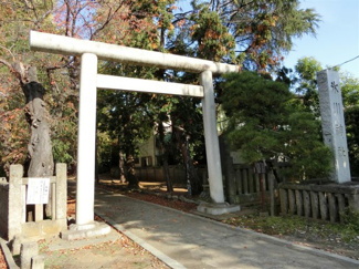 【展望】