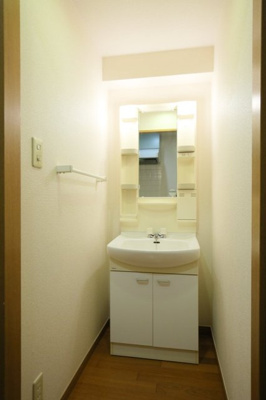 【独立洗面台】 | ロイヤルパレス四ッ谷