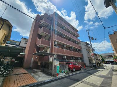ドーム平野