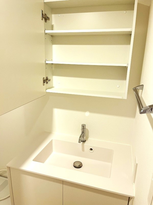 ベルーツ戸越の洗面所