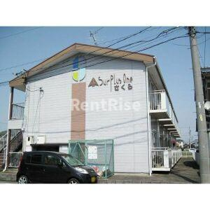 SurplusOneさくらのエントランス