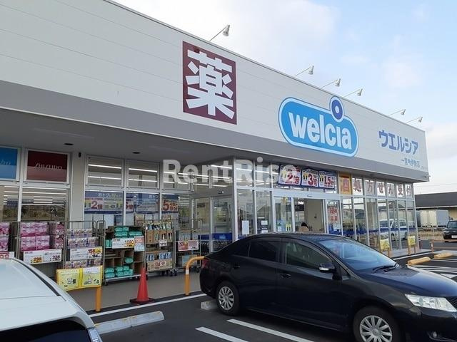 ポポのその他|その他