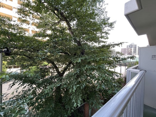 ロワールマンション吉塚Ⅱの展望