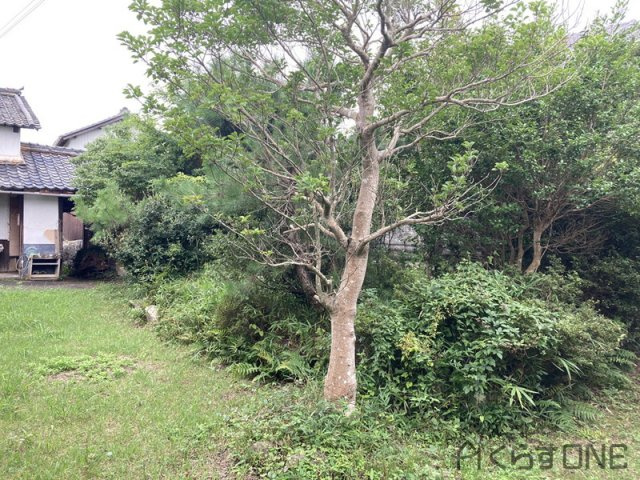 【庭】 | 相生市若狭野町野々／中古戸建