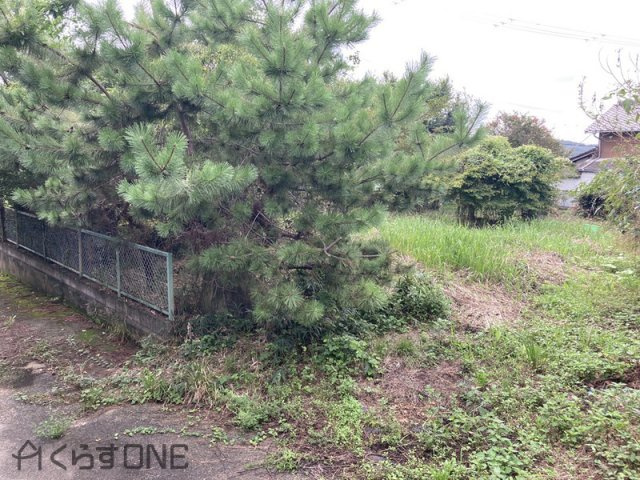 【庭】 | 相生市若狭野町野々／中古戸建