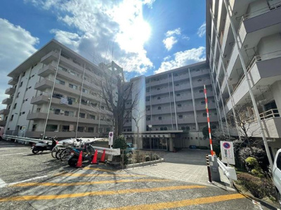 【外観】 | 常緑ハイツ | 総戸数２７７戸、１９７１年８月築、平成２２年大規模修繕工事済です♪