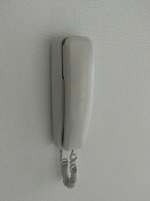 【セキュリティ】 | リトルブラウン