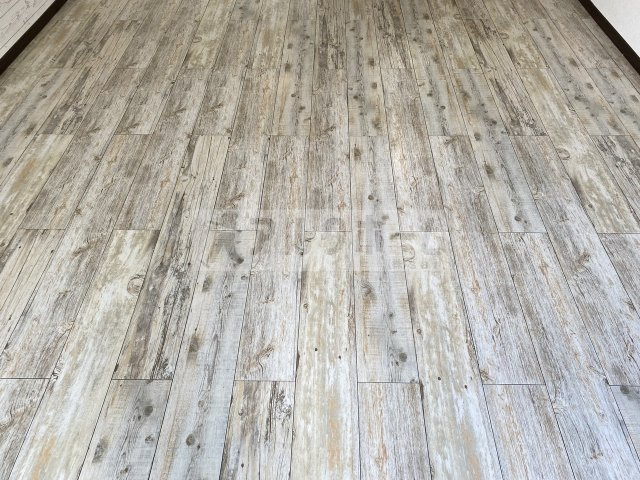 プリマヴェラ2の内装