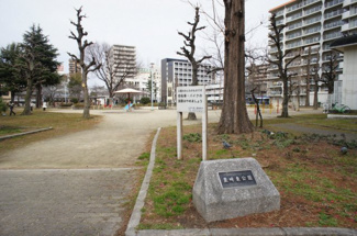 【周辺】 | 豊崎東公園