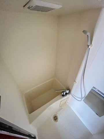 メゾンアイリスの洗面所