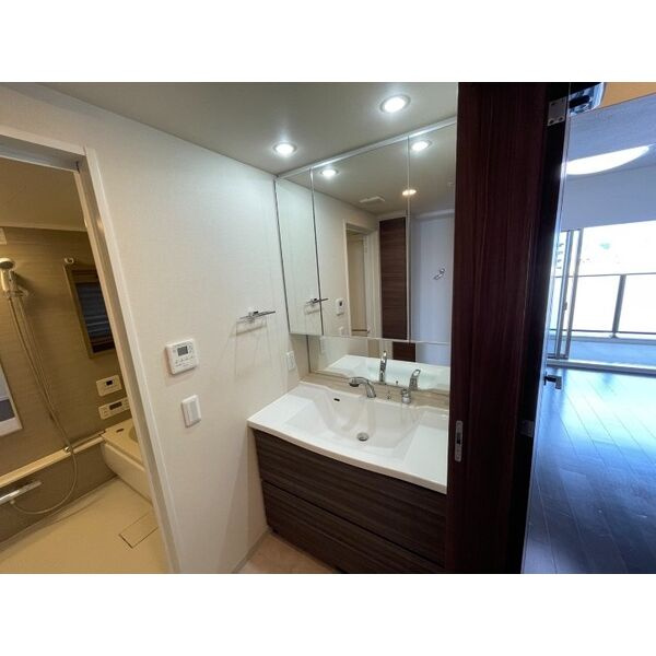 プレイズ二条の洗面所