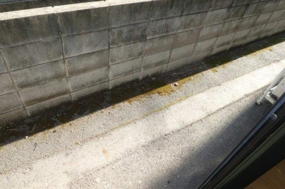 【庭】 | アモロッソトリプルＳ | テラス