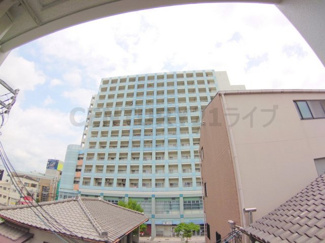 【展望】