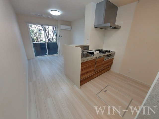 ハイ サリックスのその他