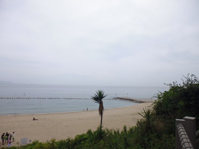 EL・PACIFICOの展望