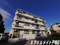 ぱれすこのまの画像