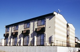 かすみ草の外観