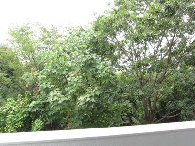 【展望】 | さんあーくもとまち