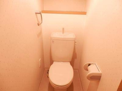 グランドパレス御池衣棚のトイレ|トイレ