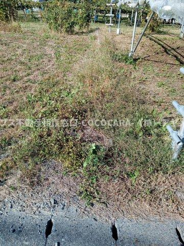 飯野　２筆分　売地104坪の外観|東側境界状況