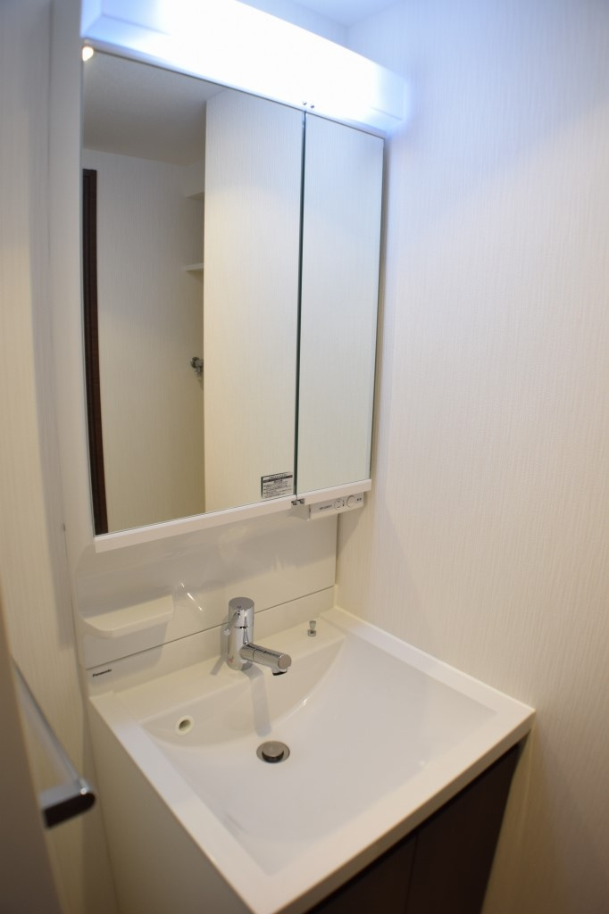 リッツ難波南Ⅱの洗面所