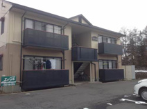 フレグランス白樺の画像