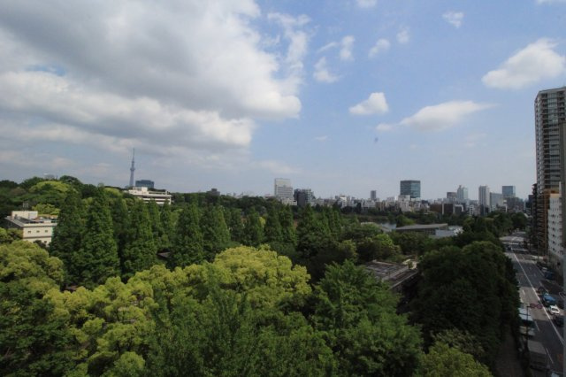 【展望】