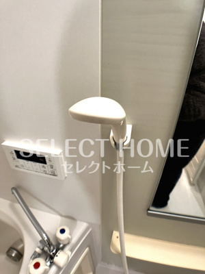  | ドリームC