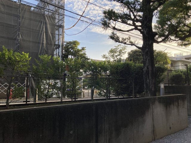 トレフォイルナカノブの展望