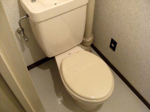 泉大津市東豊中町１丁目の賃貸マンションのトイレ|トイレもきれいです