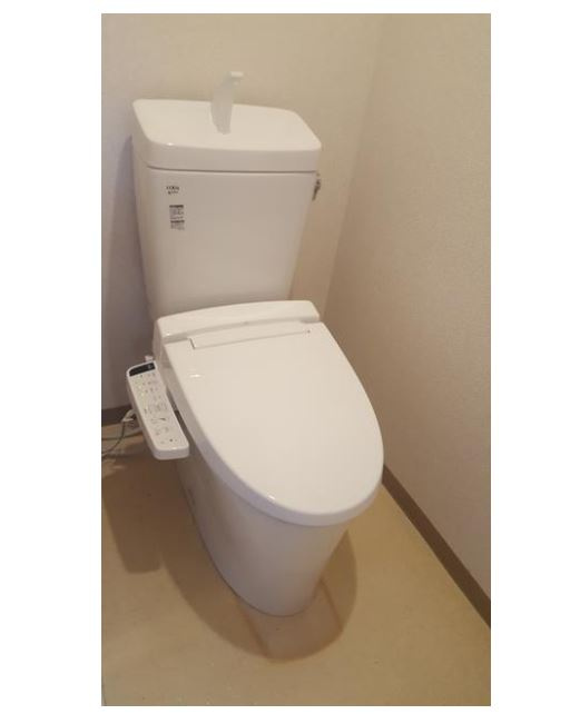 泉大津市東豊中町１丁目の賃貸マンションのトイレ|トイレです