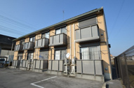 パインコートＭ・Ｓの画像