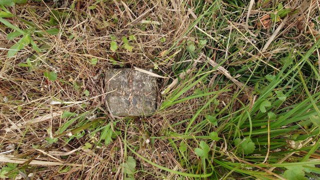 高島市今津町浜分52坪売地のその他|境界