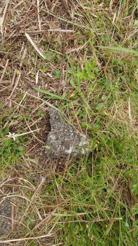 高島市今津町浜分52坪売地のその他|境界
