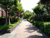 鳥山川緑道まで1743m