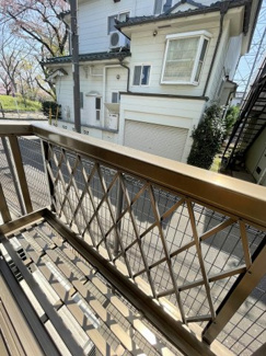 【展望】 | プチ・プリムラ