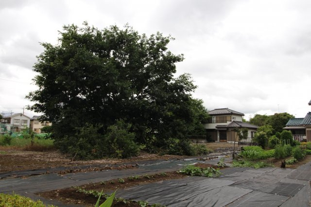 川越市小堤　建築条件なし売地　「鶴ヶ島駅」徒歩21分　敷地451坪　【名細小学区】の外観