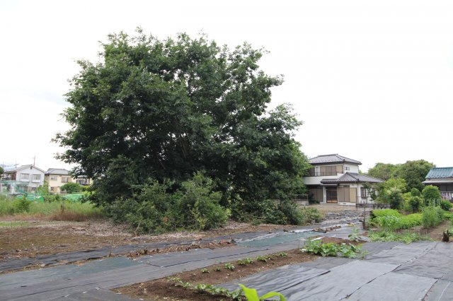 川越市小堤　建築条件なし売地　「鶴ヶ島駅」徒歩21分　敷地451坪　【名細小学区】の外観