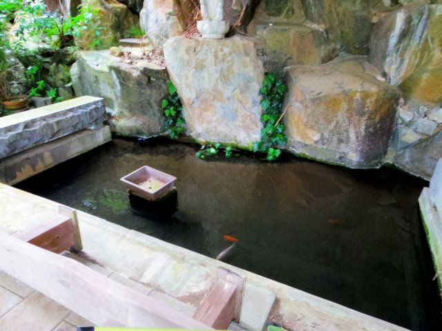 【その他】 | 伊豆市小土肥 売美術館 ES04007 | 伊豆市小土肥　池