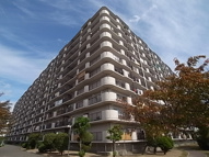 南門真ハイライフの画像