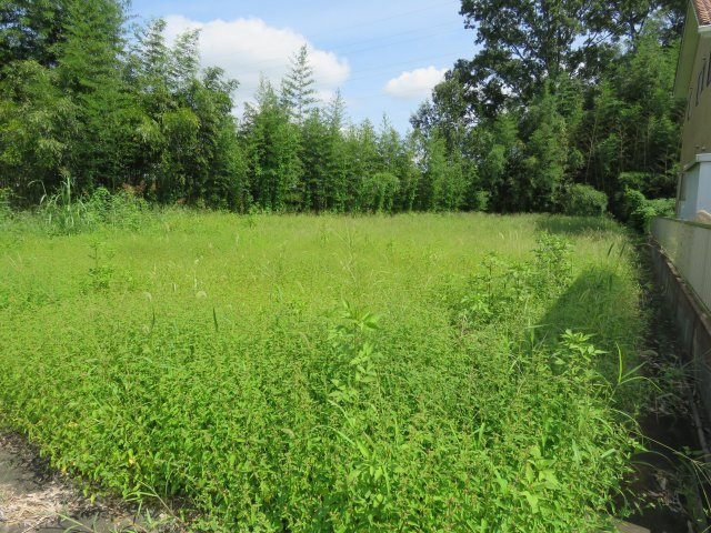 鳩山町熊井売地の外観