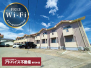 グレースCの画像