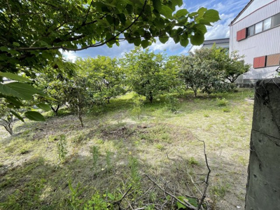 【その他】 | 売地　高知市仁井田　＠3.4