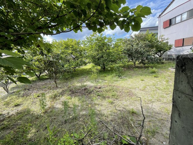 【その他】 | 売地　高知市仁井田　＠3.4