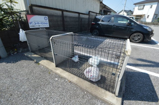 【その他共用部分】 | Ｙ＆Ｍカルム東峰