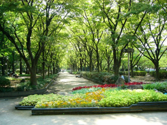 【周辺】 | 靭公園